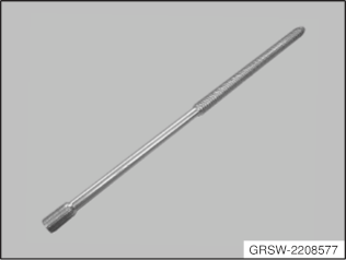 GRSW-2208577