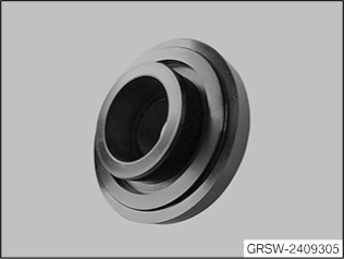 GRSW-2409305