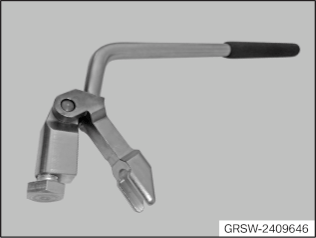 GRSW-2409646