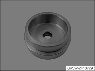 GRSW-2410729