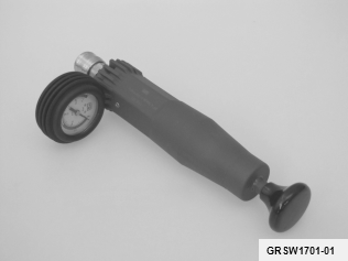 GRSW1701-01
