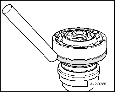 A42-0289