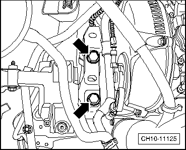 CH10-11125
