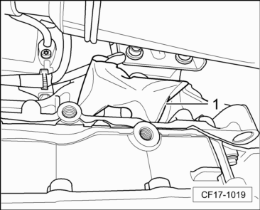 CF17-1019