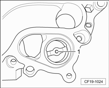 CF19-1024
