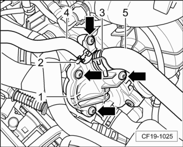 CF19-1025
