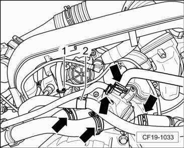 CF19-1033