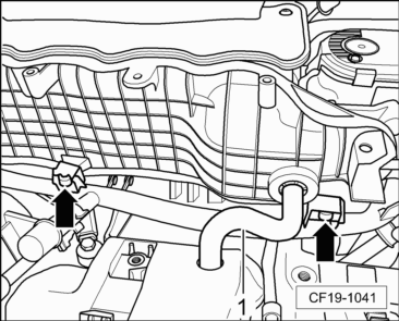 CF19-1041