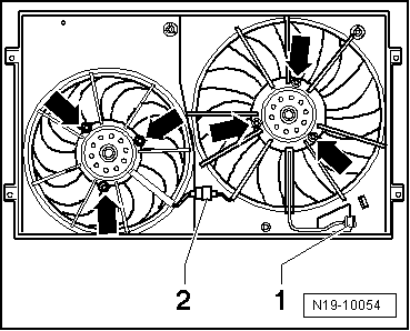 N19-10054