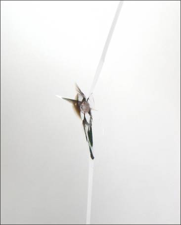 爱扳手